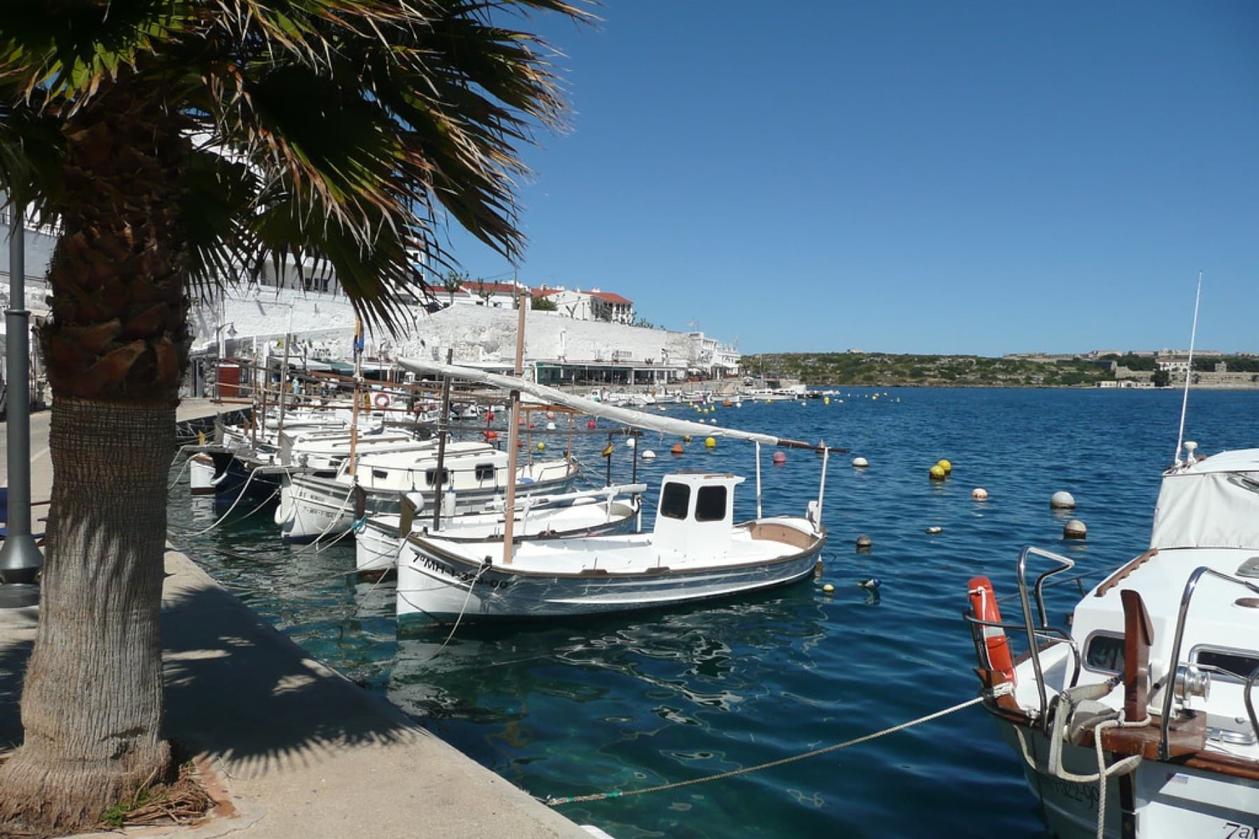Maó
